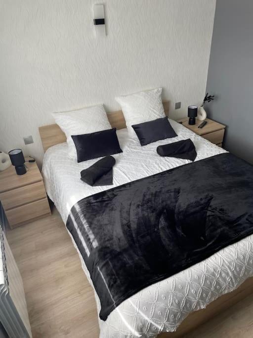 Maison D'Hotes Baslieux-sous-Chatillon Esterno foto
