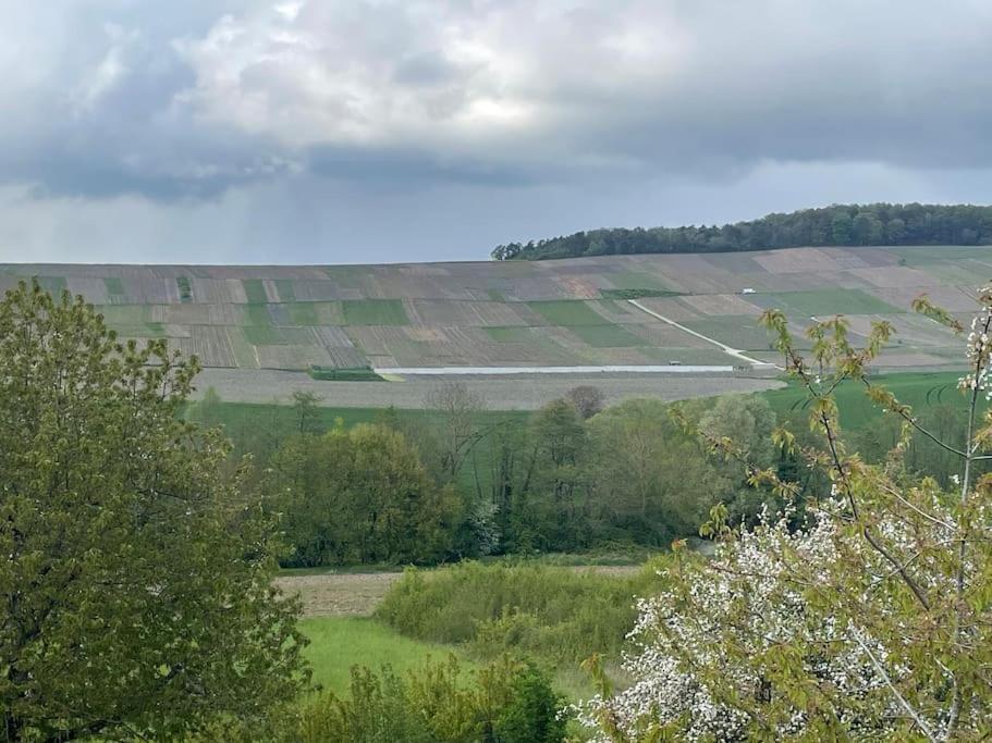 Maison D'Hotes Baslieux-sous-Chatillon Esterno foto
